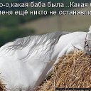 ���� �������, ������, 60 ��� - ��������� 8 ������ 2017 � ������ ������ ��������