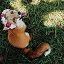 ���� ��������, ������ - ��������� 11 ������� 2017 � ������ ���� ����������