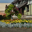 ���� Kazimieras, ����� - ��������� 29 �������� 2016 � ������ ���� ����������