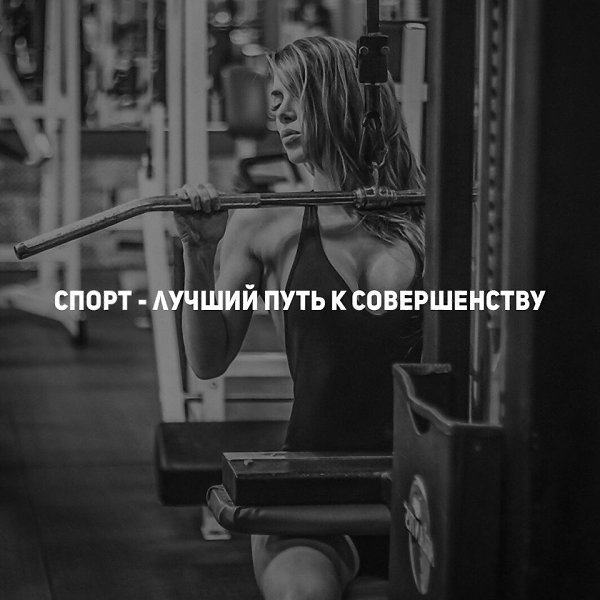  -   - 2  2016  13:49
