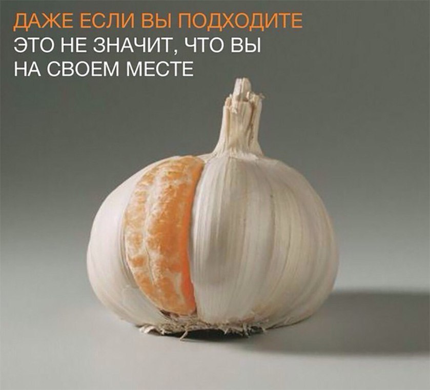  -   - 21  2017  14:36