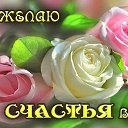 ���� ���������, ����������� - ��������� 3 ������� 2017 � ������ ������ ��������