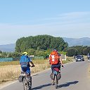     .      ,          .   Camino de Santiago   