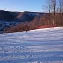 ���� ���������, ������, 35 ��� - ��������� 1 ������� 2016 � ������ ���� ����������