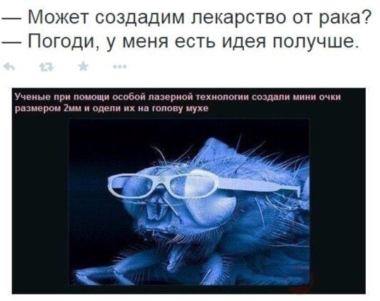    - 6  2016  10:11