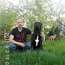 ���� ������, �������������� - ��������� 8 ������ 2017 � ������ ���� ����������