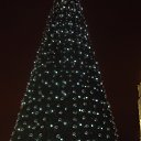  , , 41  -  22  2017   2017