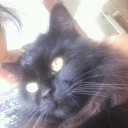 ���� �������, ������, 35 ��� - ��������� 7 ������� 2016 � ������ ���� ����