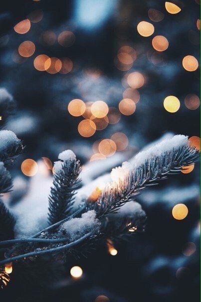       ! - 6