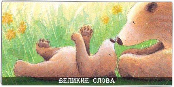     -,      :           ...