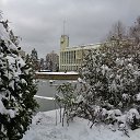  , , 60  -  3  2017     ,28.01.17.