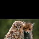  , -, 58  -  26  2017    