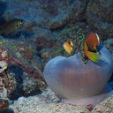 ���� ������, ������ - ��������� 23 ������� 2016 � ������ ���� �����