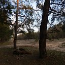  Sam, , 47  -  28  2017    