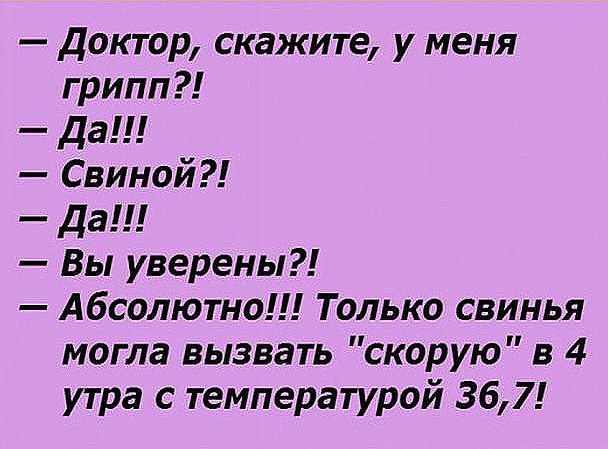  - ,  - 12  2017  02:58