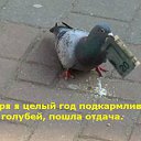 ���� ������..., ������, 55 ��� - ��������� 23 ������� 2017 � ������ ������ ��������