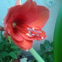 ���� �������, ����� - ��������� 5 ����� 2017 � ������ ���� ����������