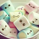 ���� ���������, �������, 43 ���� - ��������� 3 ������ 2016 � ������ ���� ����������