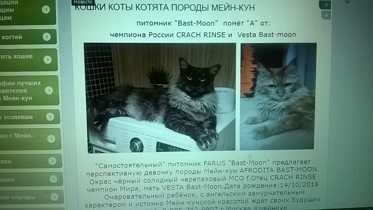 ""  FARUS "Bast-Moon"    ... - 2