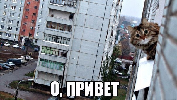    :D - 4  2017  15:05