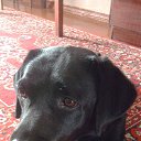 ���� �������, ����������� - ��������� 18 ������� 2017 � ������ ������� ��.�