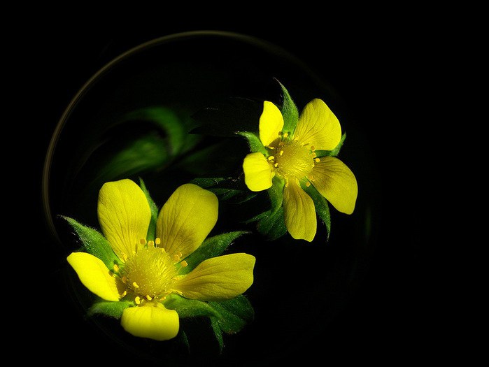 ))). Monuela Moya "Expecty" Monuela Moya "Expecty" ... - 10