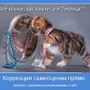 ���� �����., ������ �������� - ��������� 12 ������� 2016 � ������ ���� ����������