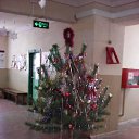 ���� ��������, ��������, 57 ��� - ��������� 23 ������� 2016 � ������ ����� ��������