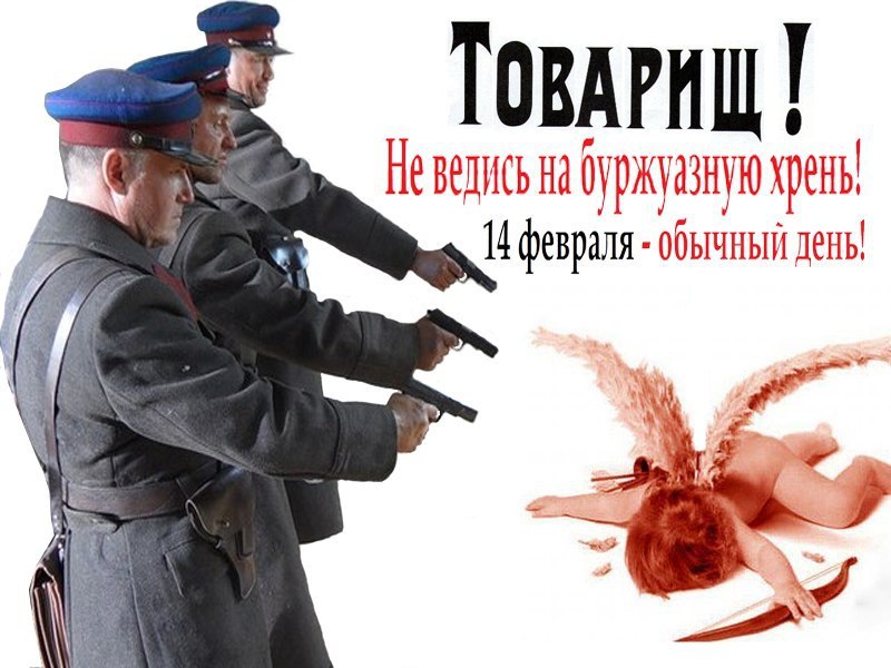 14   ).