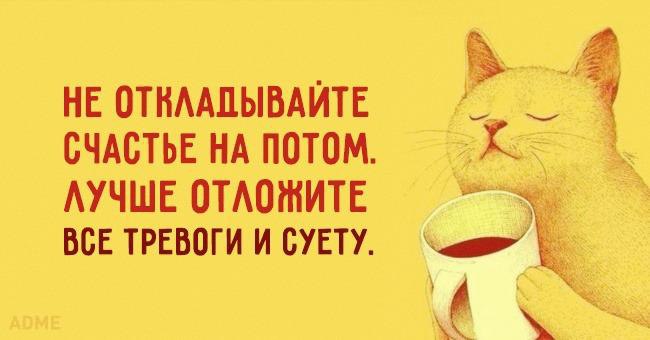  - 18  2016  23:09