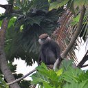 ���� ����, ������������, 59 ��� - ��������� 15 ����� 2017 � ������ ���� ����� 2017�