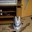 ����� � ��� �� ������� ���� ����������