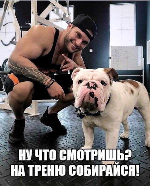  -   - 27  2017  17:37