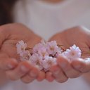 ���� ��������, �����-���������, 45 ��� - ��������� 17 ������� 2016 � ������ ������ ��������