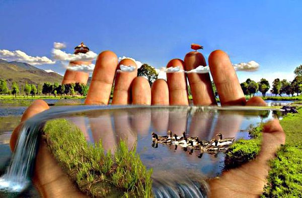   .     :     ,  , ...