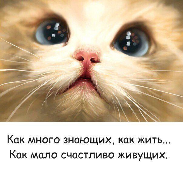   - 10  2017  11:49