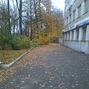  , , 51  -  5  2016   