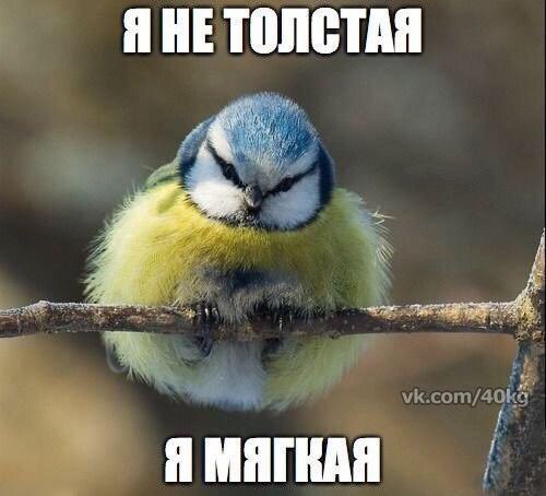  -   - 15  2017  14:11