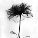 ���� Nn, ����� - ��������� 14 ������ 2016