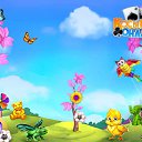 ���� �����, ���� - ��������� 10 ����� 2017 � ������ �������� �������-�������