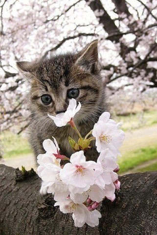  - 16  2017  19:48 - 5