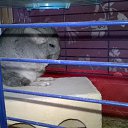 ���� �������, ������, 50 ��� - ��������� 8 ������� 2016 � ������ ����������