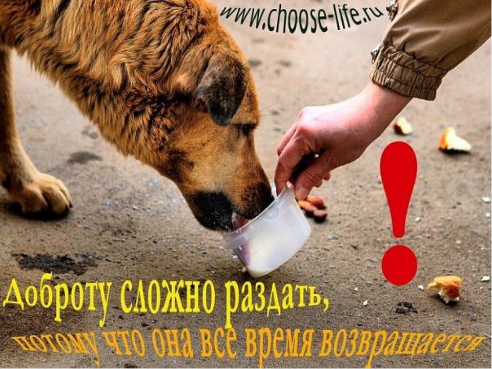         ,     , ...