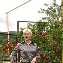 ���� �����, �����, 61 ��� - ��������� 12 �������� 2016 � ������ ���� ����������