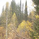 ���� ���������, ���������, 43 ���� - ��������� 16 ����� 2017 � ������ ��������