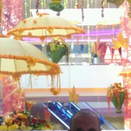 ���������, �����������, 48 ���