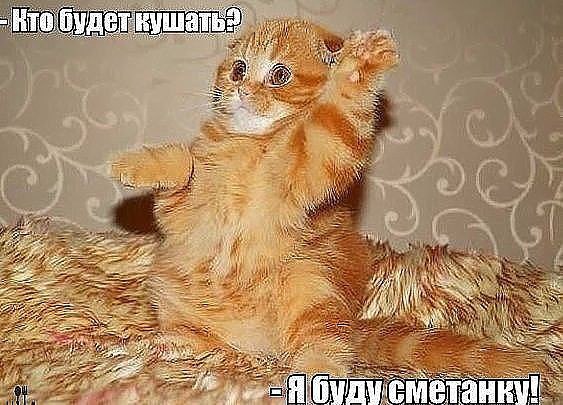     !))) - 6