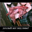 ���� ���������, ������, 45 ��� - ��������� 2 ������� 2017 � ������ ������ ��������