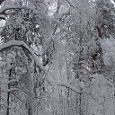 ���� �����, ������������ - ��������� 15 ������ 2016 � ������ ���� ����������