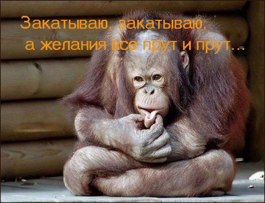 Comedy Club - 12  2017  09:09